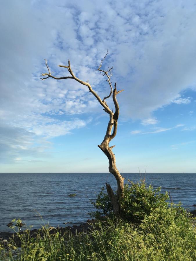 Rum Pa Landet Klagstorp Bagian luar foto
